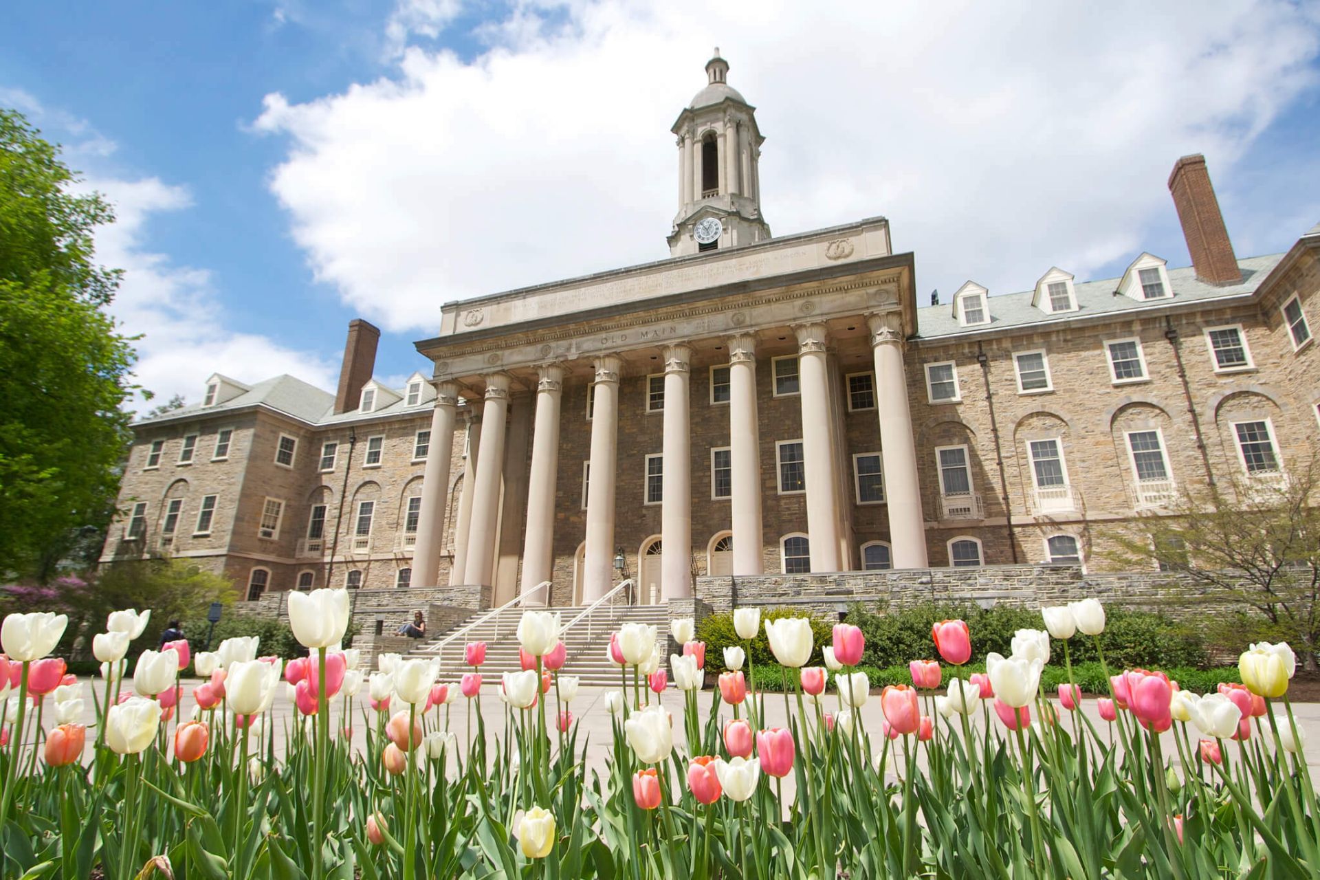 Old Main and tulips